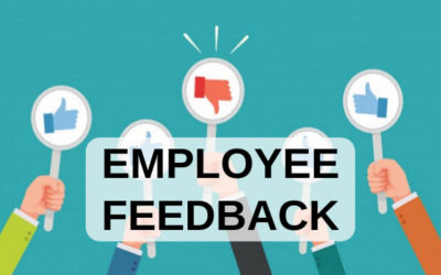 Giving Effective Employee Feedback— Your Most Essential Management Tool