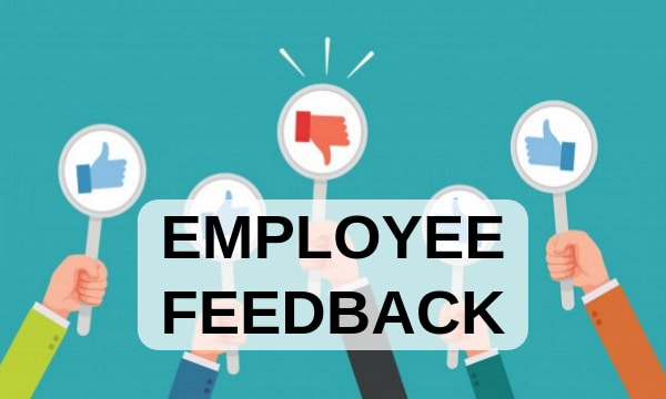Giving Effective Employee Feedback— Your Most Essential Management Tool |  Denise M Dudley